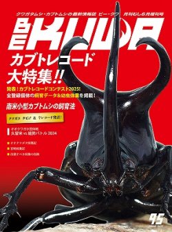 画像1: むし社「ＢＥ・ＫＵＷＡ（ビークワ）」最新号No.９５