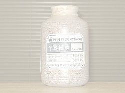 画像1: 白ひらたけ種菌［オガ1500cc］