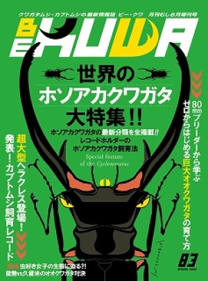 最安価格 2006年～2014年 19冊セット ビークワ KUWA BE 趣味/スポーツ