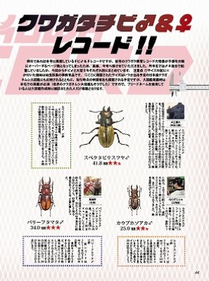 むし社 BE・KUWA（ビークワ）
