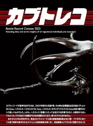 BE-KUWA（ビークワ）｜定期購読15%OFF - 雑誌のFujisan