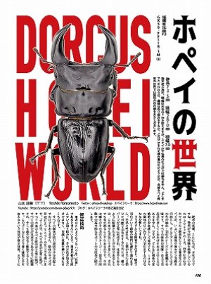むし社 BE・KUWA（ビークワ）