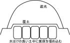 画像: 万年茸（霊芝）菌床 ４個